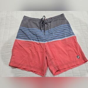 Daniel Cremieux Coral and Gray Swim Board Shorts with Blue Stripe